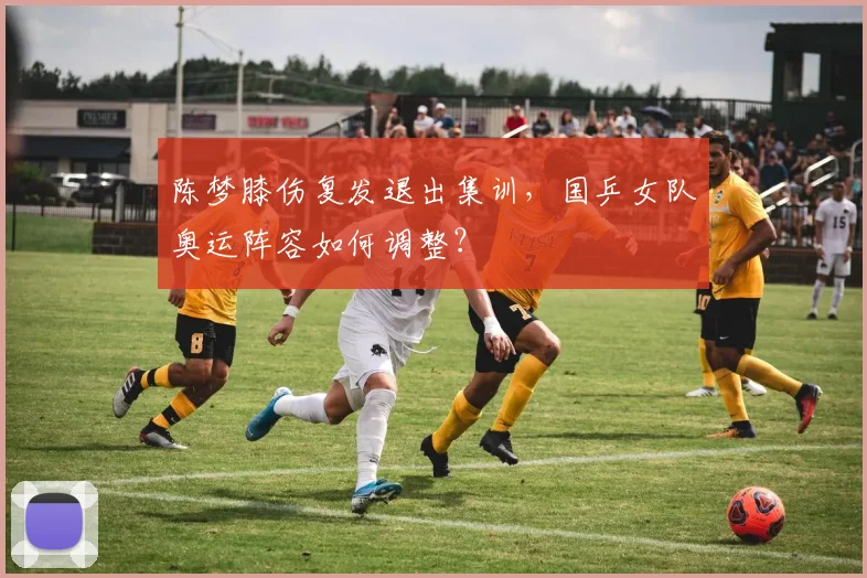 陈梦膝伤复发退出集训，国乒女队奥运阵容如何调整？